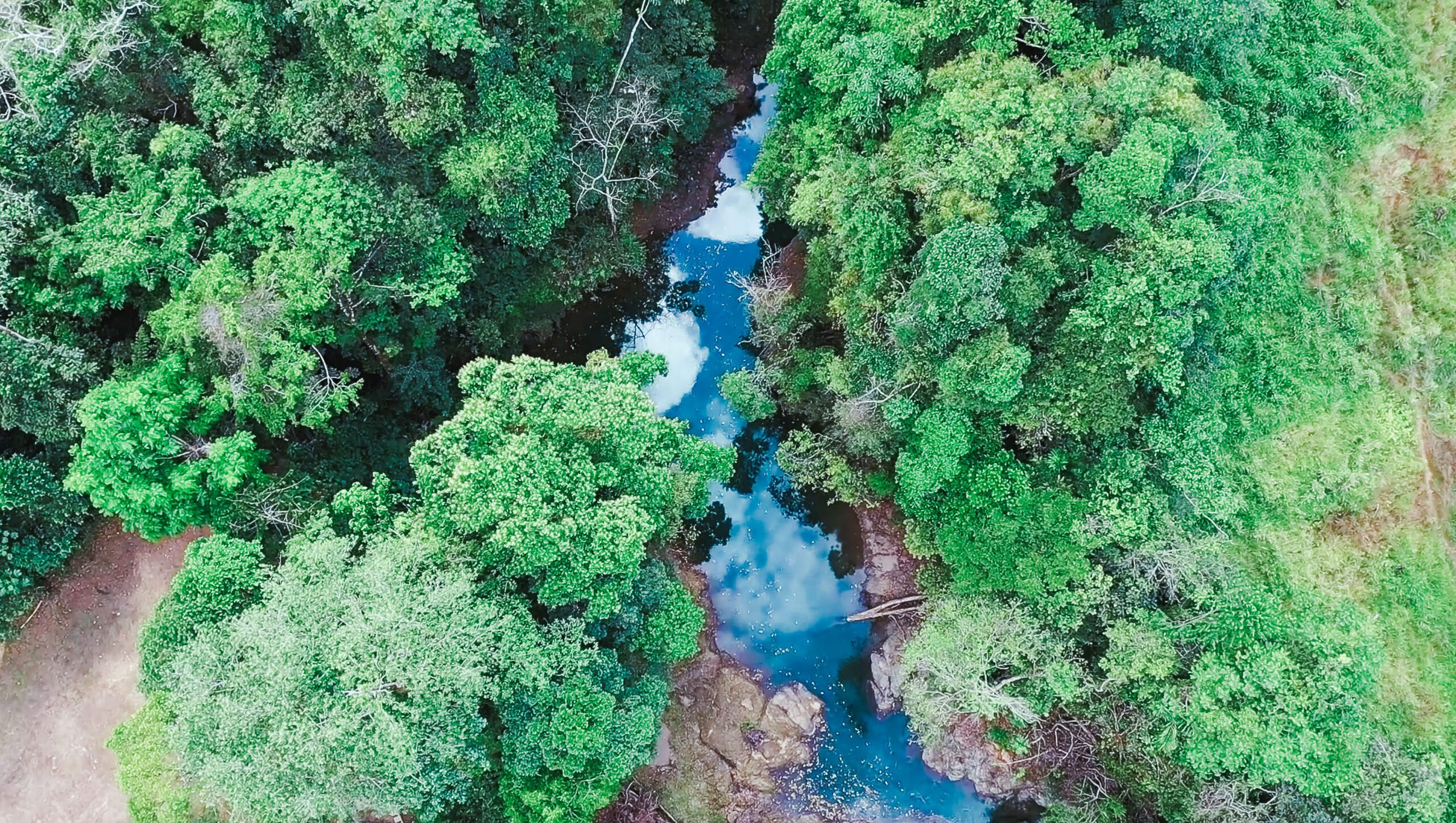 VISTA DRAKE LODGE, COSTA RICA/OSA PENINSULA: 228 fotos, comparação