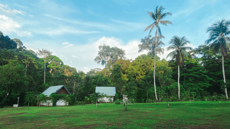 drake bay lodge